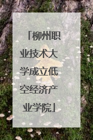 柳州职业技术大学成立低空经济产业学院