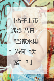 杏子上市遇冷 昔日“当家水果”为何“失宠”？