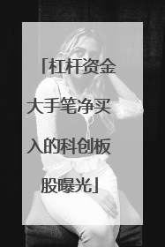 杠杆资金大手笔净买入的科创板股曝光