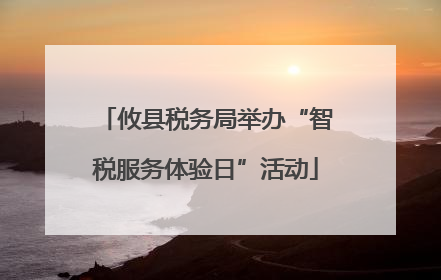 攸县税务局举办“智税服务体验日”活动