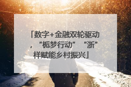 数字+金融双轮驱动，“栀梦行动”“浙”样赋能乡村振兴