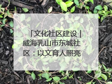 文化社区建设｜威海乳山市东城社区：以文育人照亮成长灯塔