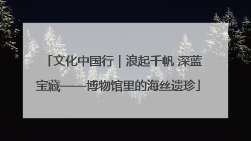 文化中国行｜浪起千帆 深蓝宝藏——博物馆里的海丝遗珍