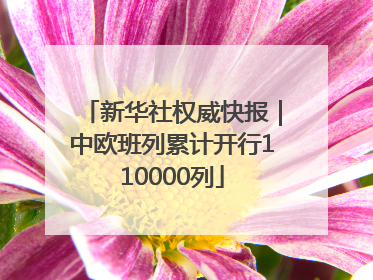 新华社权威快报｜中欧班列累计开行110000列