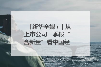 新华全媒+｜从上市公司一季报“含新量”看中国经济发展向“新”