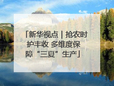 新华视点｜抢农时 护丰收 多维度保障“三夏”生产