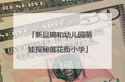新晨锦和幼儿园萌娃探秘莲花街小学