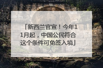 新西兰官宣！今年11月起，中国公民符合这个条件可免签入境