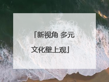 新视角 多元文化壁上观