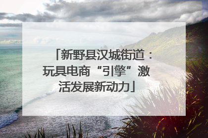 新野县汉城街道：玩具电商“引擎”激活发展新动力