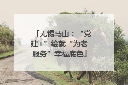 无锡马山：“党建+”绘就“为老服务”幸福底色