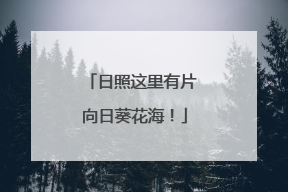 日照这里有片向日葵花海！