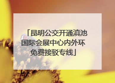 昆明公交开通滇池国际会展中心内外环免费接驳专线
