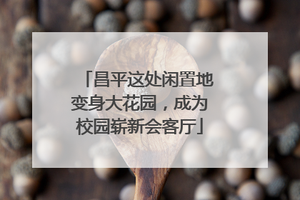 昌平这处闲置地变身大花园，成为校园崭新会客厅