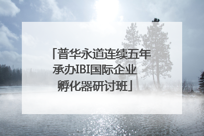 普华永道连续五年承办IBI国际企业孵化器研讨班