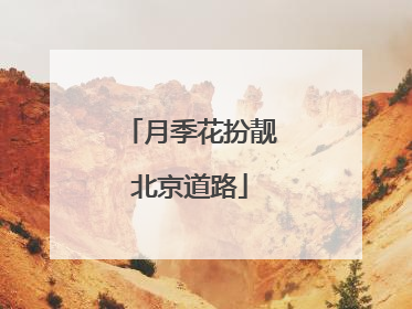 月季花扮靓北京道路