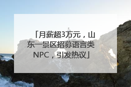 月薪超3万元，山东一景区招募语言类NPC，引发热议
