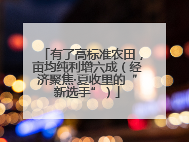 有了高标准农田，亩均纯利增六成（经济聚焦·夏收里的“新选手”）