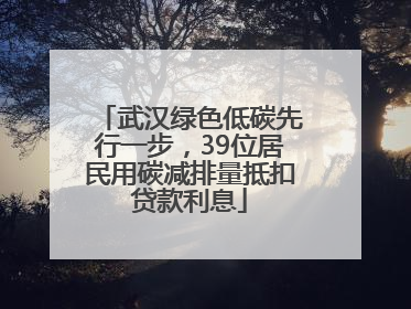 武汉绿色低碳先行一步，39位居民用碳减排量抵扣贷款利息