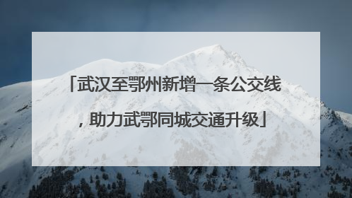 武汉至鄂州新增一条公交线，助力武鄂同城交通升级
