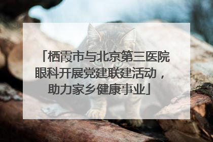 栖霞市与北京第三医院眼科开展党建联建活动，助力家乡健康事业