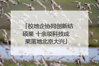 校地企协同创新结硕果 十余项科技成果落地北京大兴