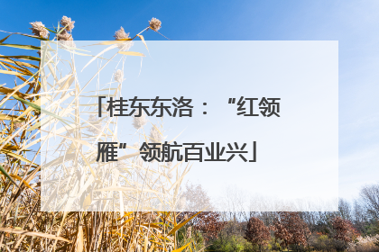 桂东东洛：“红领雁”领航百业兴