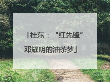 桂东：“红先锋”邓耀明的油茶梦