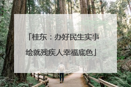 桂东：办好民生实事 绘就残疾人幸福底色