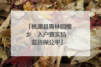 桃源县青林回维乡：入户查实情 监督保公平