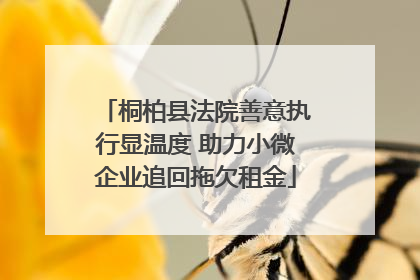 桐柏县法院善意执行显温度 助力小微企业追回拖欠租金
