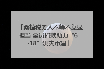 桑植税务人不等不靠显担当 全员捐款助力“6·18”洪灾重建