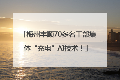 梅州丰顺70多名干部集体“充电”AI技术！