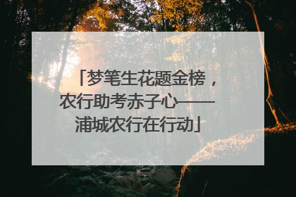 梦笔生花题金榜，农行助考赤子心——浦城农行在行动