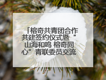 榕奇共青团合作共建签约仪式暨“山海和鸣 榕奇同心”青联委员交流交往交融活动在福州举行