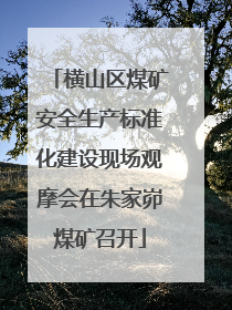 横山区煤矿安全生产标准化建设现场观摩会在朱家峁煤矿召开