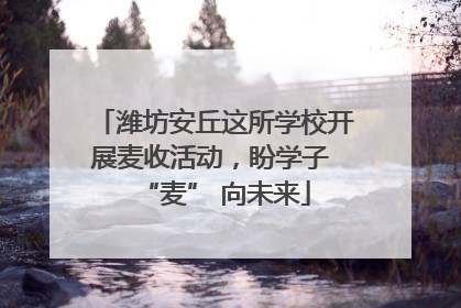潍坊安丘这所学校开展麦收活动，盼学子 “麦” 向未来