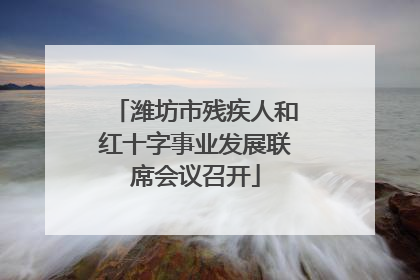 潍坊市残疾人和红十字事业发展联席会议召开