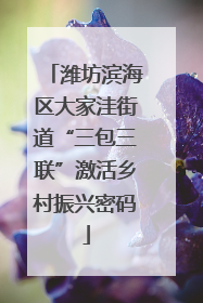 潍坊滨海区大家洼街道“三包三联”激活乡村振兴密码