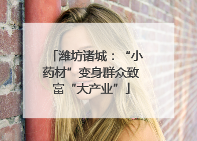 潍坊诸城：“小药材”变身群众致富“大产业”