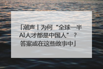 潮声丨为何“全球一半AI人才都是中国人”？答案或在这些故事中