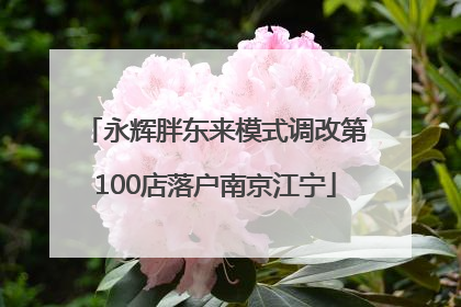 永辉胖东来模式调改第100店落户南京江宁