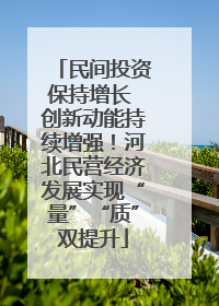 民间投资保持增长 创新动能持续增强！河北民营经济发展实现“量”“质”双提升