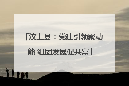 汶上县：党建引领聚动能 组团发展促共富