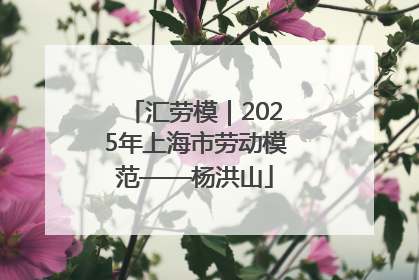汇劳模｜2025年上海市劳动模范——杨洪山