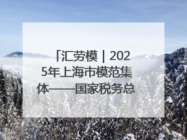 汇劳模｜2025年上海市模范集体——国家税务总局上海市徐汇区税务局第一税务所