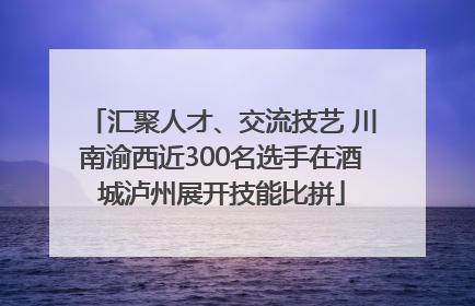 汇聚人才、交流技艺 川南渝西近300名选手在酒城泸州展开技能比拼
