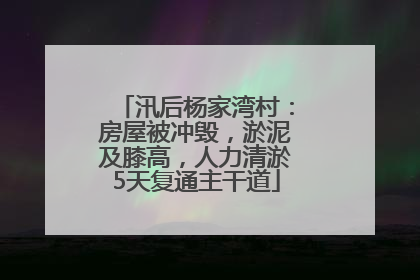 汛后杨家湾村：房屋被冲毁，淤泥及膝高，人力清淤5天复通主干道