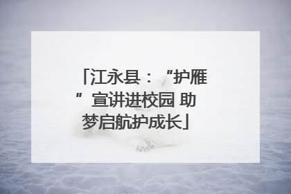 江永县：“护雁”宣讲进校园 助梦启航护成长