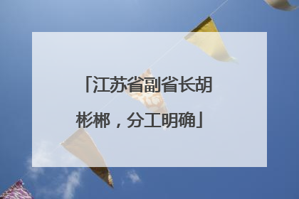 江苏省副省长胡彬郴，分工明确